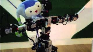 French Robots in Korea - Yeosu Expo 2012