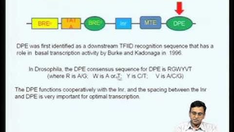 Mod-01 Lec-02 Diversity in core promoter elements