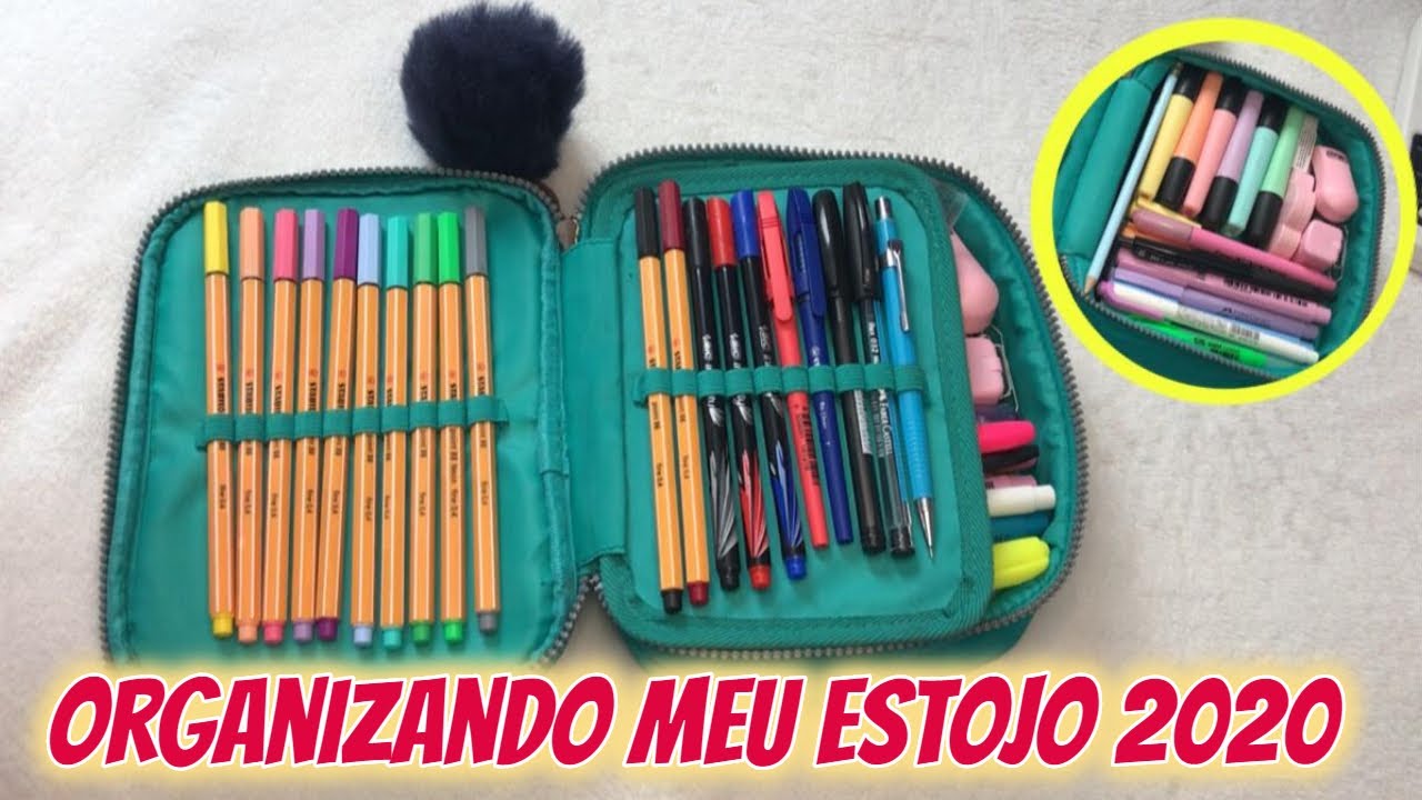 ORGANIZANDO MEU ESTOJO 2020 *100 pens*