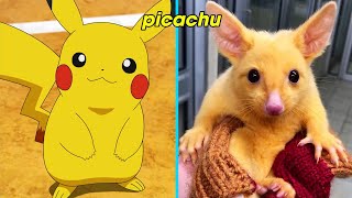 POKEMON All Chacracters | Pokemon In Real Life 2022 | If Cartoon Characters Were Real Part 10