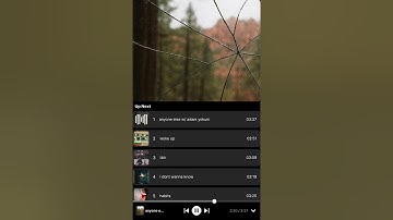 Adam Yokum & mike. - anyone else