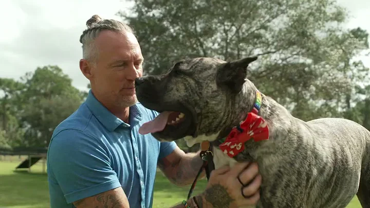 Meet Ethan, American Humane's 2022 Hero Dog Winner