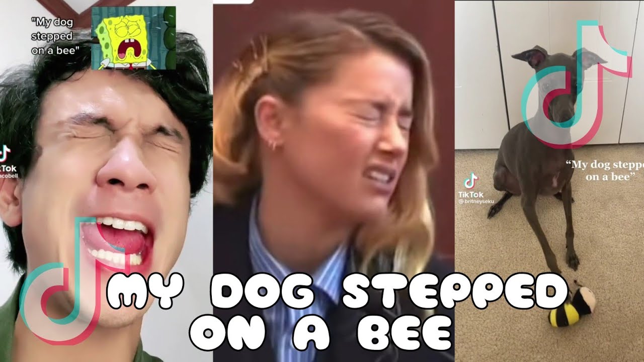 dog stepped on a bee cartoon｜TikTok Search