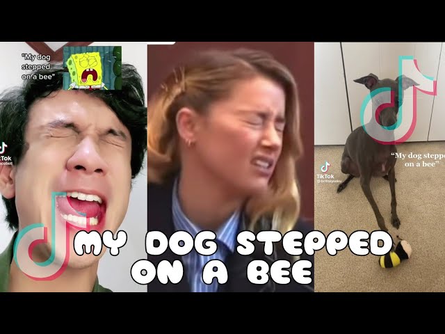 Rhyming “my dog stepped on a bee” using scenes from FRIENDS😂😂 #mydog, my  dog stepped on a bee