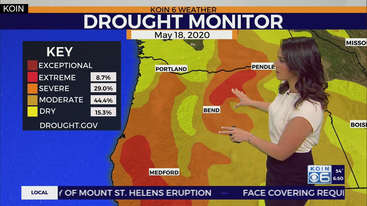 Weather forecast: Unsettled rain continues this week with cooler ...