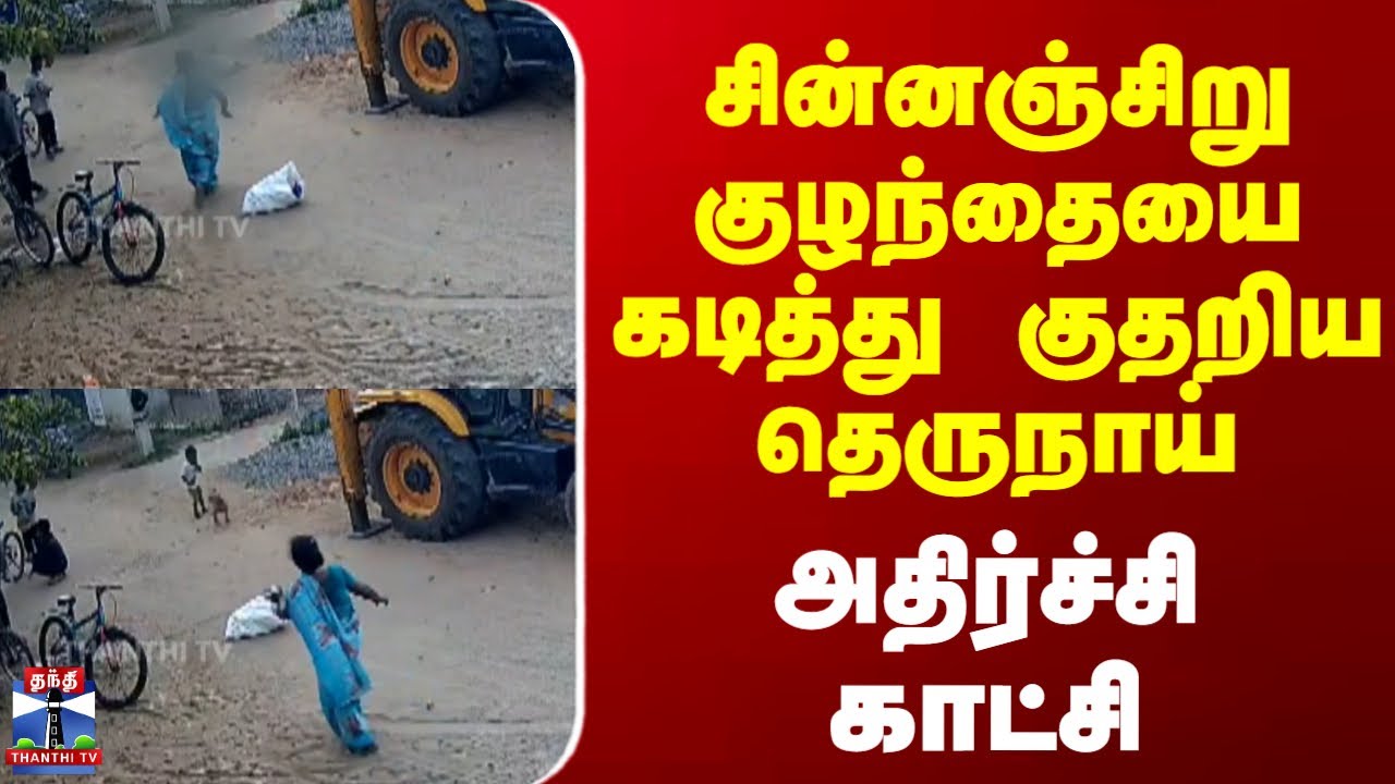 Dog Bite Cctv | சின்னஞ்சிறு குழந்தையை கடித்து குதறிய தெருநாய் - அதிர்ச்சி காட்சி