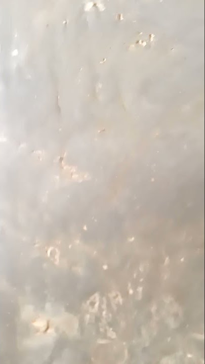 Dosa-dosa bugil