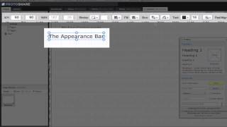 ProtoShare Appearance Bar