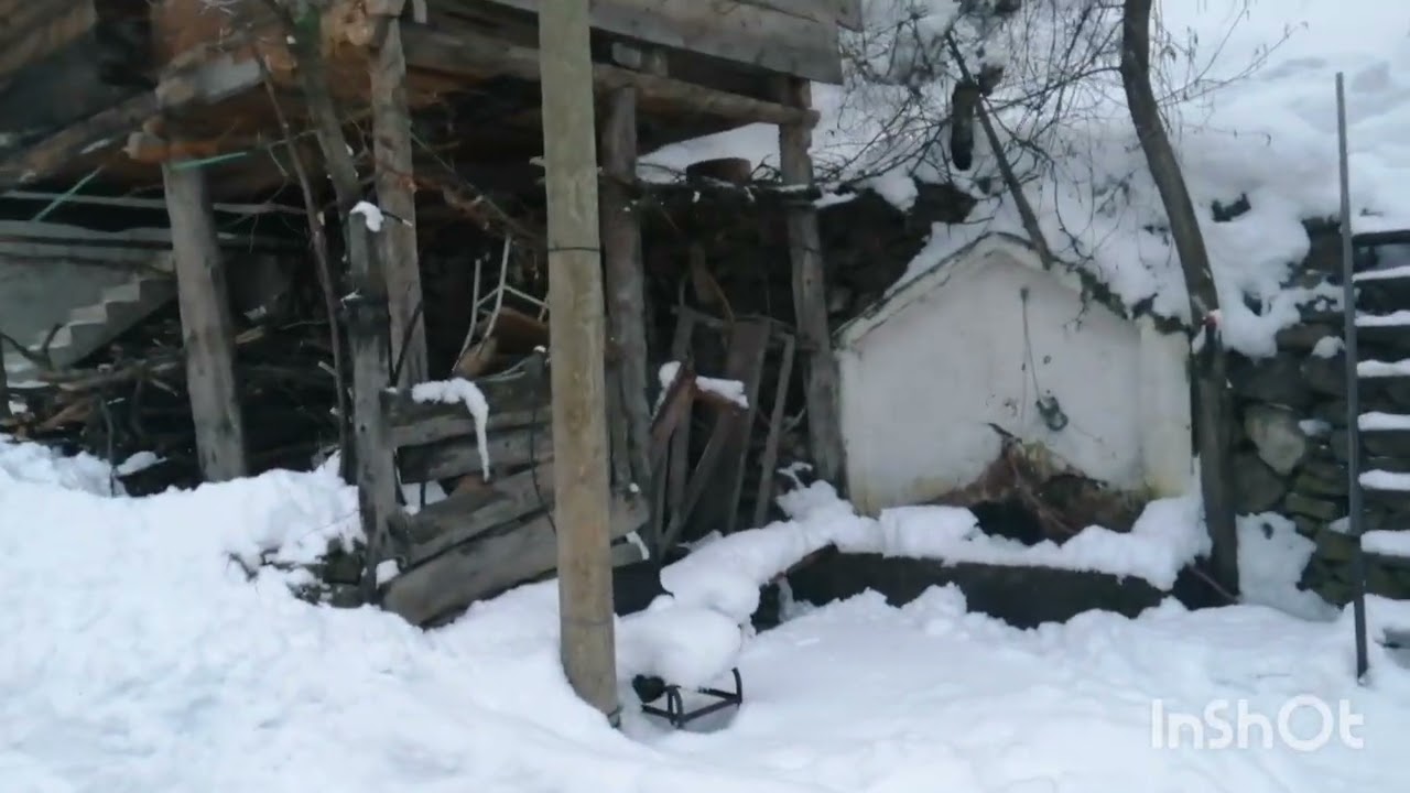 MUHLİS EKİNCİ İLE BİZİM KÖYLER ( KIŞLA ) VİDEO ÇEKİM MUHLİS EKİNCİ  ARALIK 2021