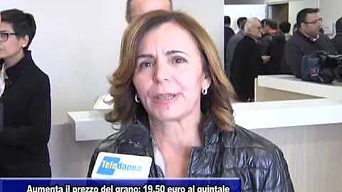 Quanto costa la paglia a tonnellata?