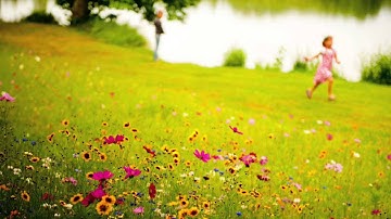 21st Sunday after Pentecost 2015 [Rev. Geoff Chapman]