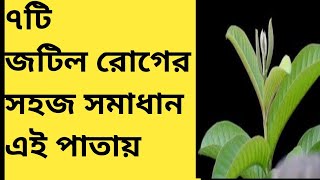 সাতটি জটিল রোগের সহজ সমাধান এ পাতা guava leaves benefits screenshot 4