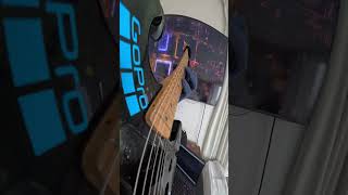 Low-Poly Intelligent Hyper-Minimal Liquid Jungle - BeatSamurai