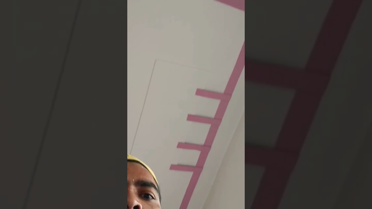 Shadab painter new video carana 