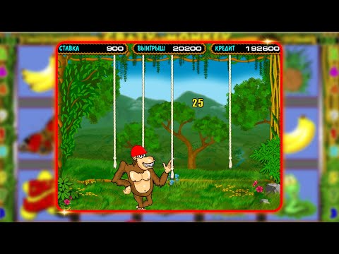 Узнайте, как играть в карточные игры в онлайн казино для Казахстана