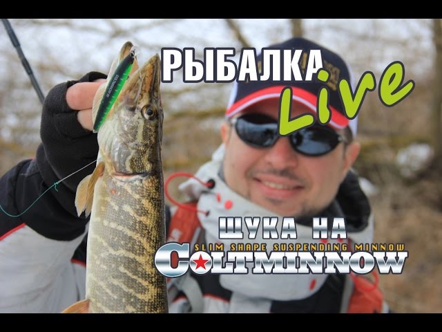 Рыбалка Live. Щука на Colt Minnow