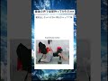 これ見て無反応な人おる？w #おもしろ #shorts