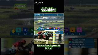 Del Mar race resultados
