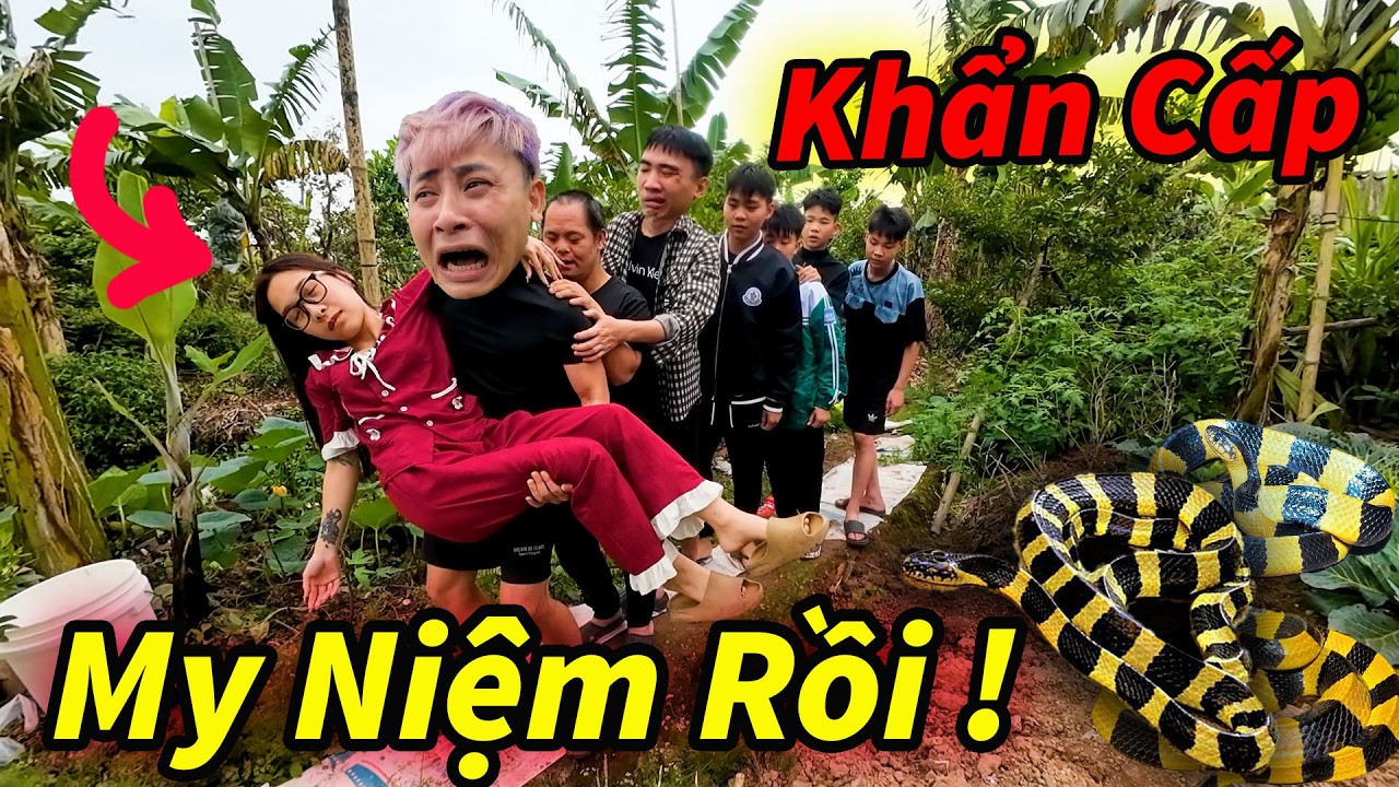 Căng ! Hậu Cáo Cứu My Bị Hổ Mang Sơi Tái Trong Bụi Tre