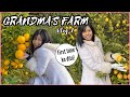 TARA sa FARM ng BIYENAN KO | shekmatz vlog 1 2020