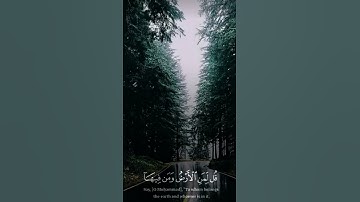 #آيات #المصحف #لايك #اكسبلور #القزابري #ترند #تيك_توك #دويتو #الطحان #الرحمن