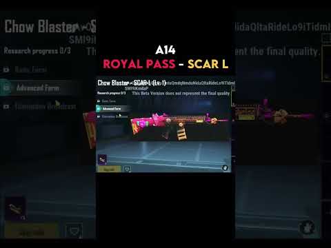 a14 royal pass