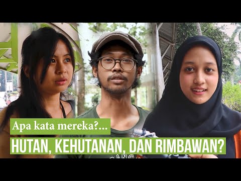 Video: Apa itu kehutanan ilmiah?