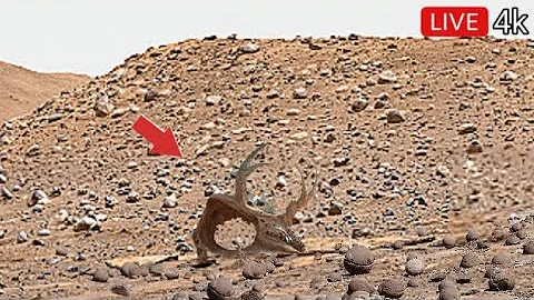 NASA SHOCKED! Mars Rover Sends One Unbelievable Image & 360° 4K Footage Before Going Silent (2025)