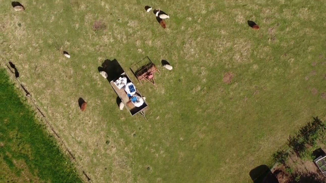 Köln-Nord Rheinufer Leverkusener Brücke