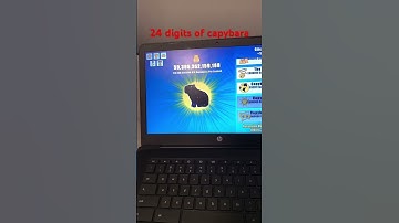 capybara clicker record (no auto clicker)