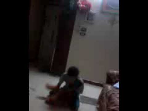 بيفتر على الخنزر  