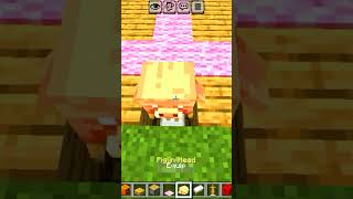 🐷 “Head + Carpet = OP Pig Hack 😍🔥” #minecraft #viral