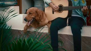 Anh Muốn Nghe Giọng Em | Nguyên | Bun & Orin Cover