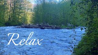 Deep Forest Mountain Stream: Ambient TV Background | Nature Sounds &amp; White Noise for Deep Sleep