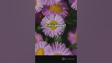 Day 9 of 30- python modules|30 days challenge| #day9      #coding #phython #programming