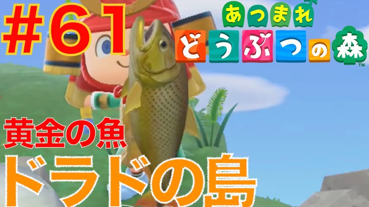 61 ツアーでドラドの釣れる島を発見 黄金の魚 あつまれどうぶつの森 Youtube