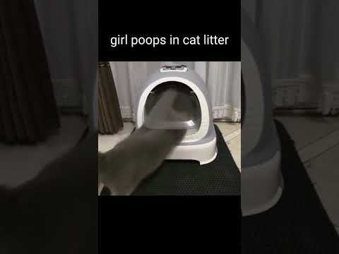 girl poops in cat litter