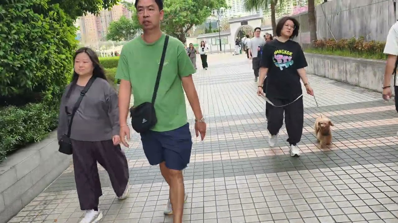 沙田歌后蓉蓉，唱歌位置路線圖。