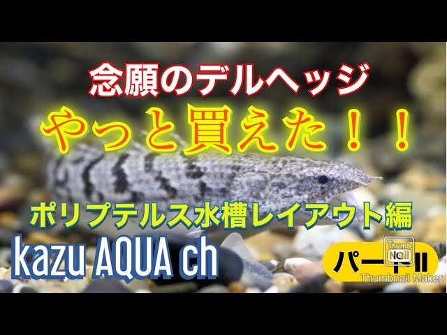 ザ・ポリプテルス アクアリウム・シリーズ ザ・ポリプテルス: 恐竜魚の飼育と楽しみ方 (アクアリウム