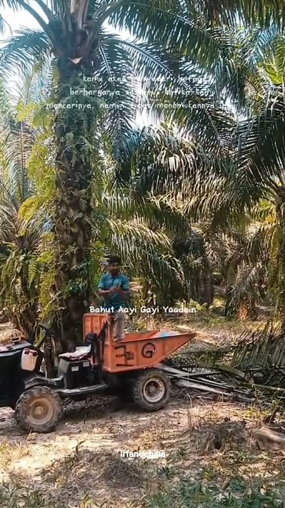 Hargai Suamimu #shorts #shortvideo #fypviral #fyp #trending #sawit #storywa #storykerja #videoviral