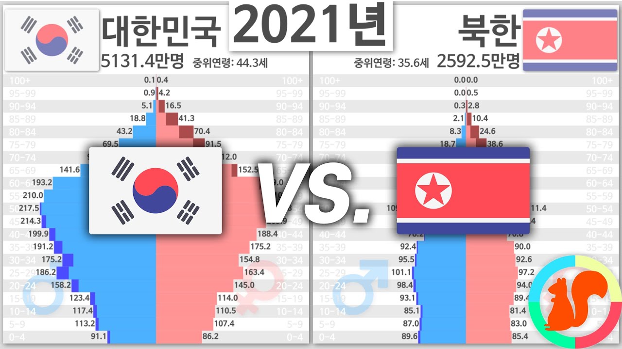 Update New 대한민국 vs. 북한 인구 피라미드 변화 1950년~2100년