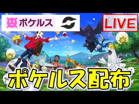 ポケモン剣盾 ポケルス感染しまくって配布 12 Youtube