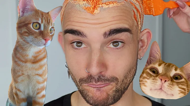 I Dyed My Hair Like My Cat