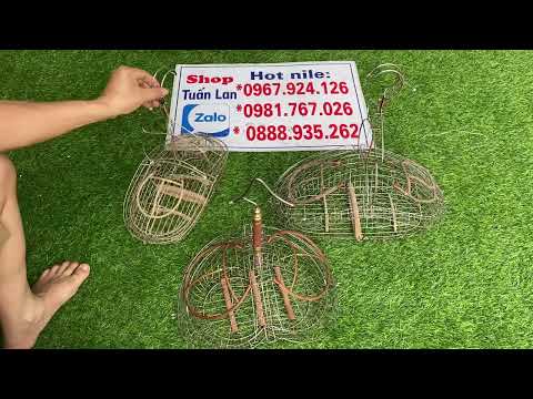 Video Lồng bẫy chim khuyên , chào mào chích choè hàng víp... - youtube