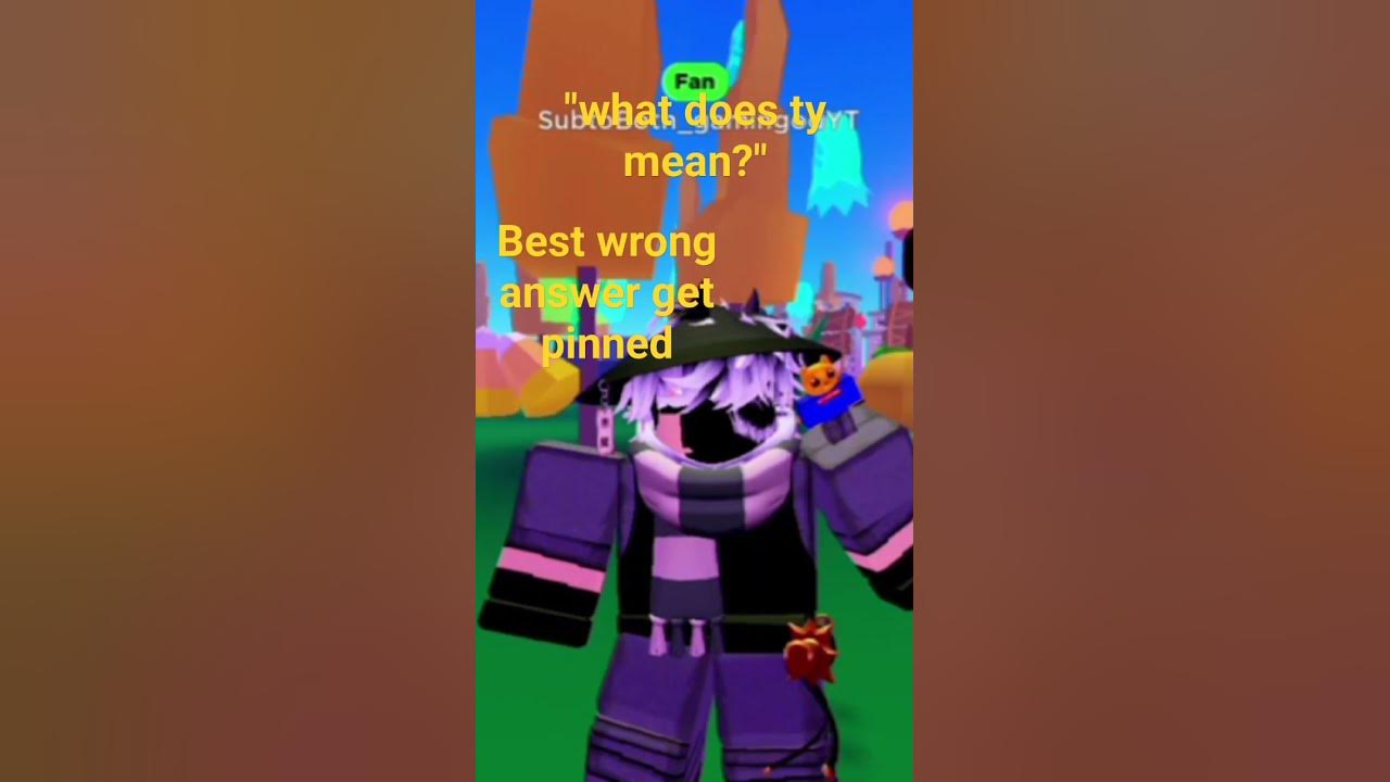what-does-ty-mean-best-wrong-answer-get-pinned-youtube