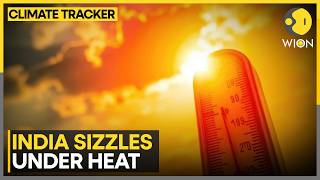 India Heatwave: India Dominates Global Heat Charts | WION Climate Tracker