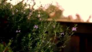 Watch Cardigans After All video