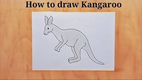 Kangaroo Drawing Easy | How To Draw A Kangaroo Easy Step By Step