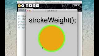 Celebrity Color Stroke and Fill Net Worth