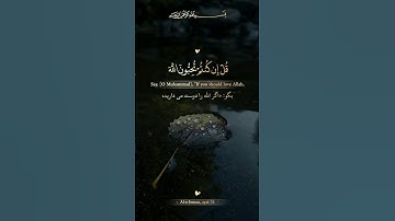قُلْ إِن كُنتُمْ تُحِبُّونَ اللَّهَ - سوره آل عمران آیه ۳۱